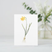 daffodil (Narcissus pseudo-narcissus) van Redouté Briefkaart (Staand voorkant)