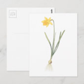 daffodil (Narcissus pseudo-narcissus) van Redouté Briefkaart (Voorkant / Achterkant)