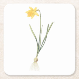 daffodil (Narcissus pseudo-narcissus) van Redouté Kartonnen Onderzetters