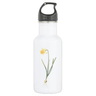 daffodil (Narcissus pseudo-narcissus) van Redouté Waterfles