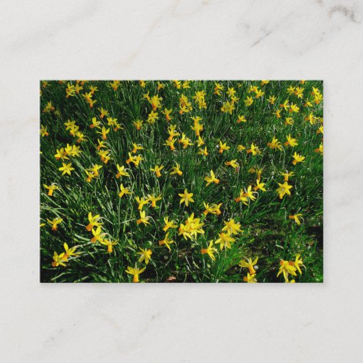 Daffodil/Narcissus Visitekaartje (Voorkant)