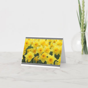 DAFFODIL NOTE CARDS KAART