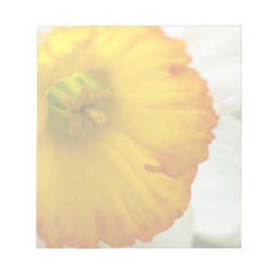 Daffodil Notitieblok
