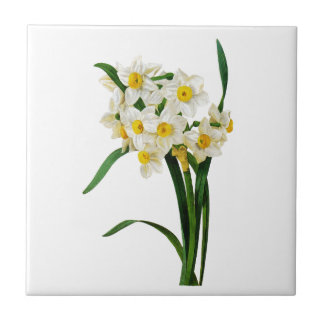 Daffodil of Narcissus door Pierre Joseph Redoute Tegeltje