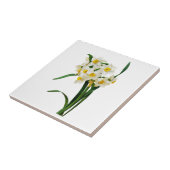 Daffodil of Narcissus door Pierre Joseph Redoute Tegeltje (Zijkant)