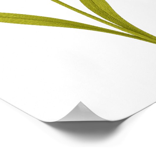 Daffodil - Ongeëvenaarde liefde, zon Poster (Hoek)