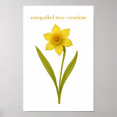Daffodil - Ongeëvenaarde liefde, zon Poster (Voorkant)