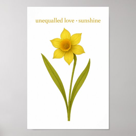 Daffodil - Ongeëvenaarde liefde, zon Poster (Voorkant)
