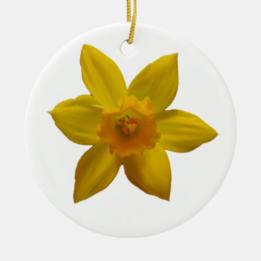 Daffodil Ornament (Voorkant)