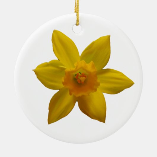 Daffodil Ornament (Achterkant)