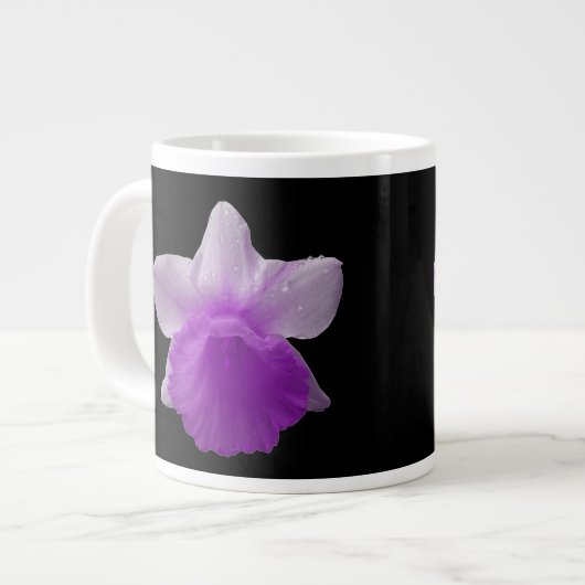 Daffodil Paarse Mok (Links)