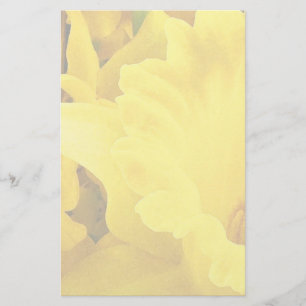 Daffodil Petals Briefpapier