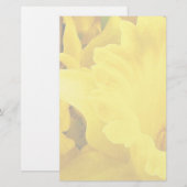 Daffodil Petals Briefpapier (Voorkant / Achterkant)