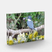 Daffodil Photo Block Fotoblokken (Links)