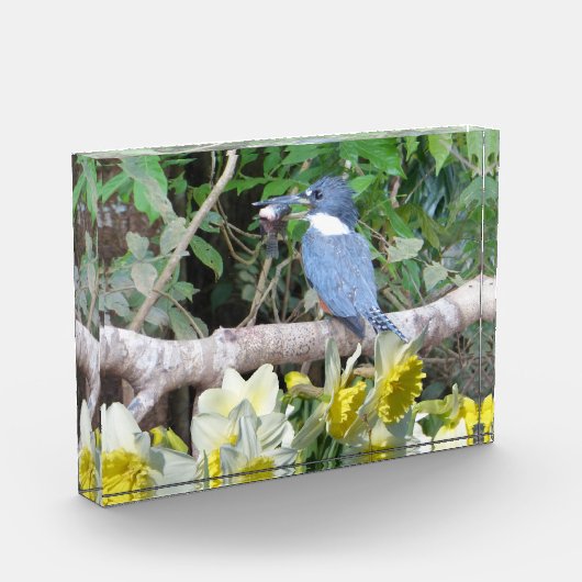 Daffodil Photo Block Fotoblokken (Links)