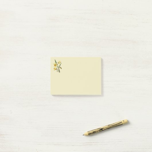 Daffodil plaatst notities post-it® notes (Op bureau)