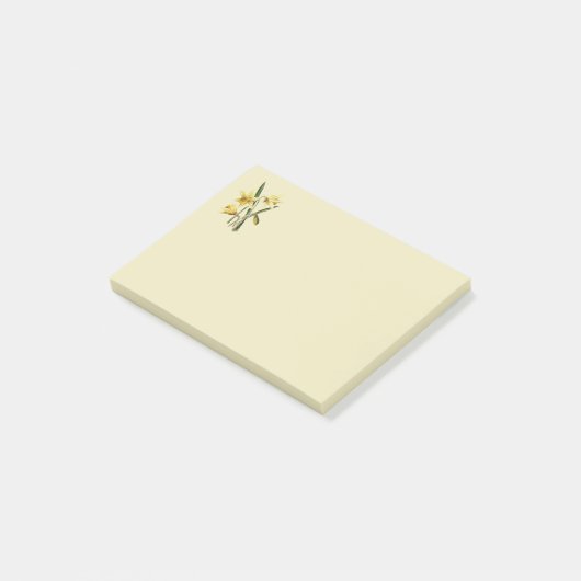 Daffodil plaatst notities post-it® notes (Schuin)