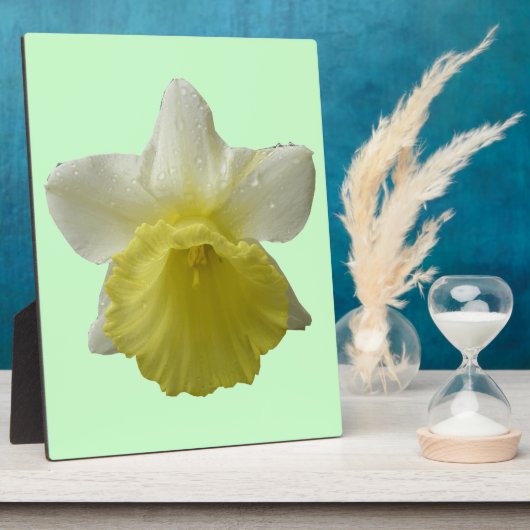 Daffodil Plaque Fotoplaat (Zijkant)