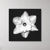 'Daffodil Portrait' Ingepakt Canvas Print (Voorkant)