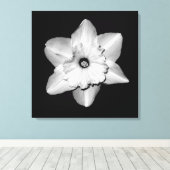 'Daffodil Portrait' Ingepakt Canvas Print (Insitu (Houten vloer))