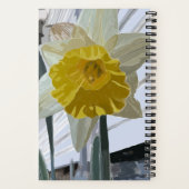 Daffodil Portrait Notitieboek (Achterkant)