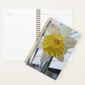 Daffodil Portrait Planner 5.5 "x8.5" (Display)