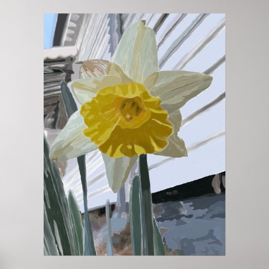 Daffodil Portrait Poster (Voorkant)