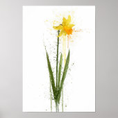 Daffodil Poster (Voorkant)
