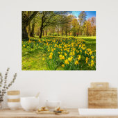 DAFFODIL POSTER (Keuken)