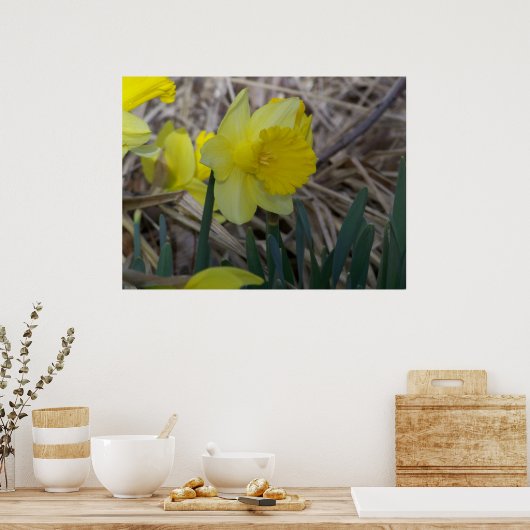 Daffodil Poster (Keuken)