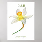 Daffodil Print, waarde Poster papier (mat) (Voorkant)