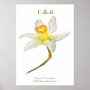 Daffodil Print, waarde Poster papier (mat)