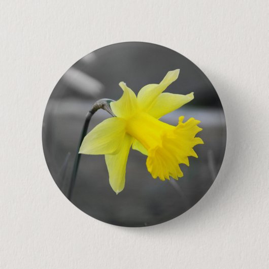 Daffodil Ronde Button 5,7 Cm (Voorkant)