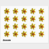 daffodil ronde sticker (Vel)