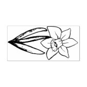 Daffodil Rubberstempel (Afrduk)
