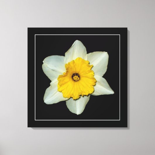 'Daffodil Serie, Afbeelding 1' Canvasprint met Spa Canvas Afdruk (Voorkant)