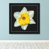 'Daffodil Serie, Afbeelding 1' Canvasprint met Spa Canvas Afdruk (Insitu (Houten vloer))