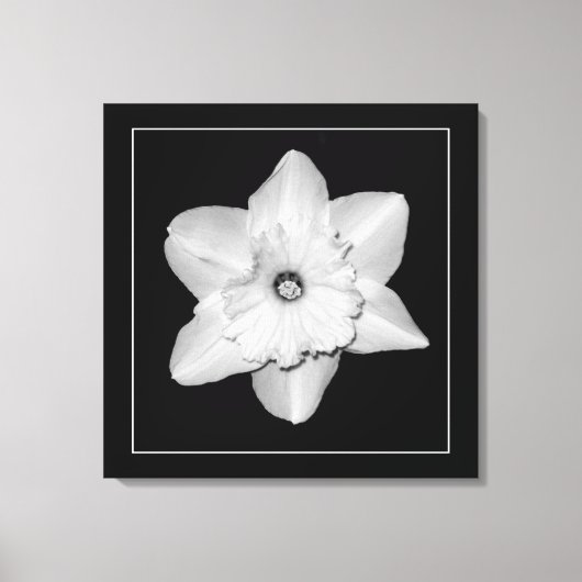 'Daffodil Serie, Afbeelding 2' Ingepakt Canvas Pri Afdruk (Voorkant)