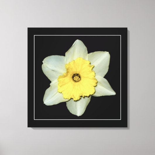 'Daffodil Serie, Afbeelding 3' Canvasprint Canvas Afdruk (Voorkant)