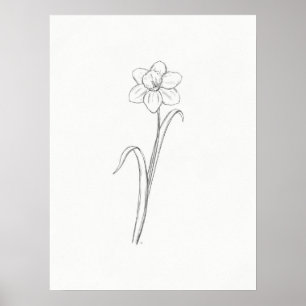 Daffodil Sketch Print