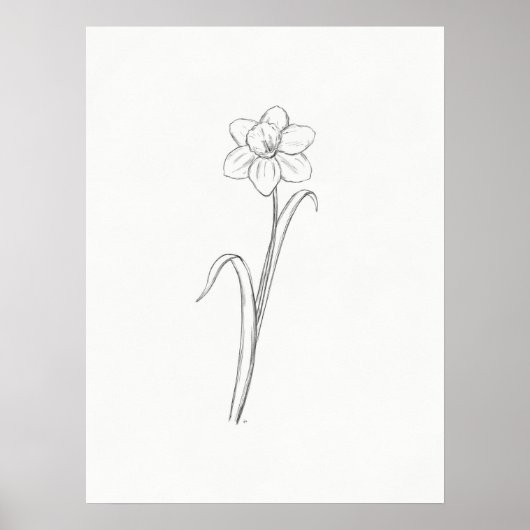 Daffodil Sketch Print (Voorkant)
