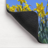 Daffodil Sky Muismat (Hoek)