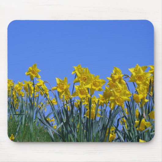 Daffodil Sky Muismat (Voorkant)