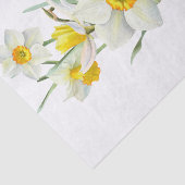 Daffodil Spring Flower Waterverf Tissuepapier (Detail)