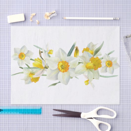 Daffodil Spring Flower Waterverf Tissuepapier (Craft)