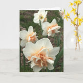 Daffodil Spring Wenskaart Kaart (Gele Bloem)