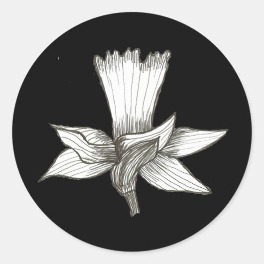Daffodil Sticker (Voorkant)