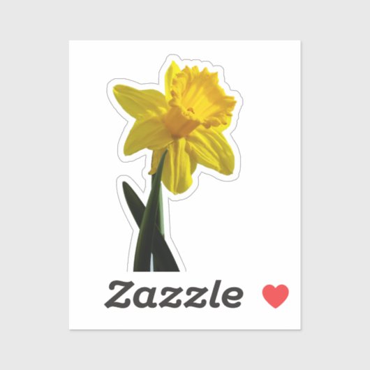 Daffodil Sticker (Vel)