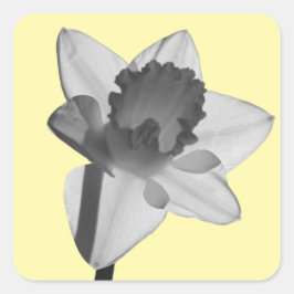 Daffodil Sticker