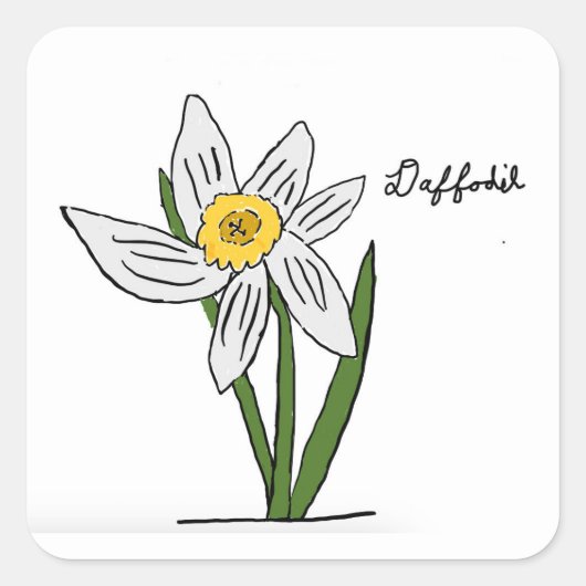 Daffodil-Sticker Vierkante Sticker (Voorkant)